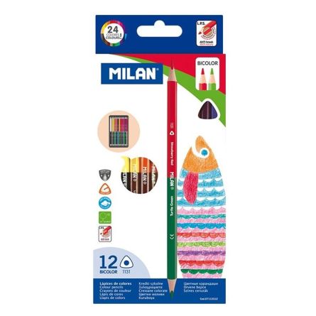 Crayon de couleur blister 12 pcs