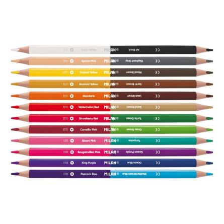 Crayon de couleurs bicolores 12 pcs