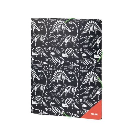 Pochette carton renforcée dino