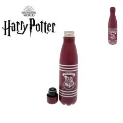 Bouteille inox 50 cl  -...