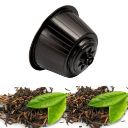 BONINI thé English...