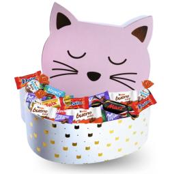 Grande boite chat garnie de...