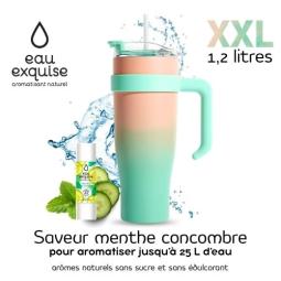 Mug isotherme bicolore vert...