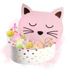 Grande boite chat + 100...