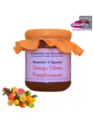 Confiture Marmelade 3 agrumes 250 g - BAUDRY