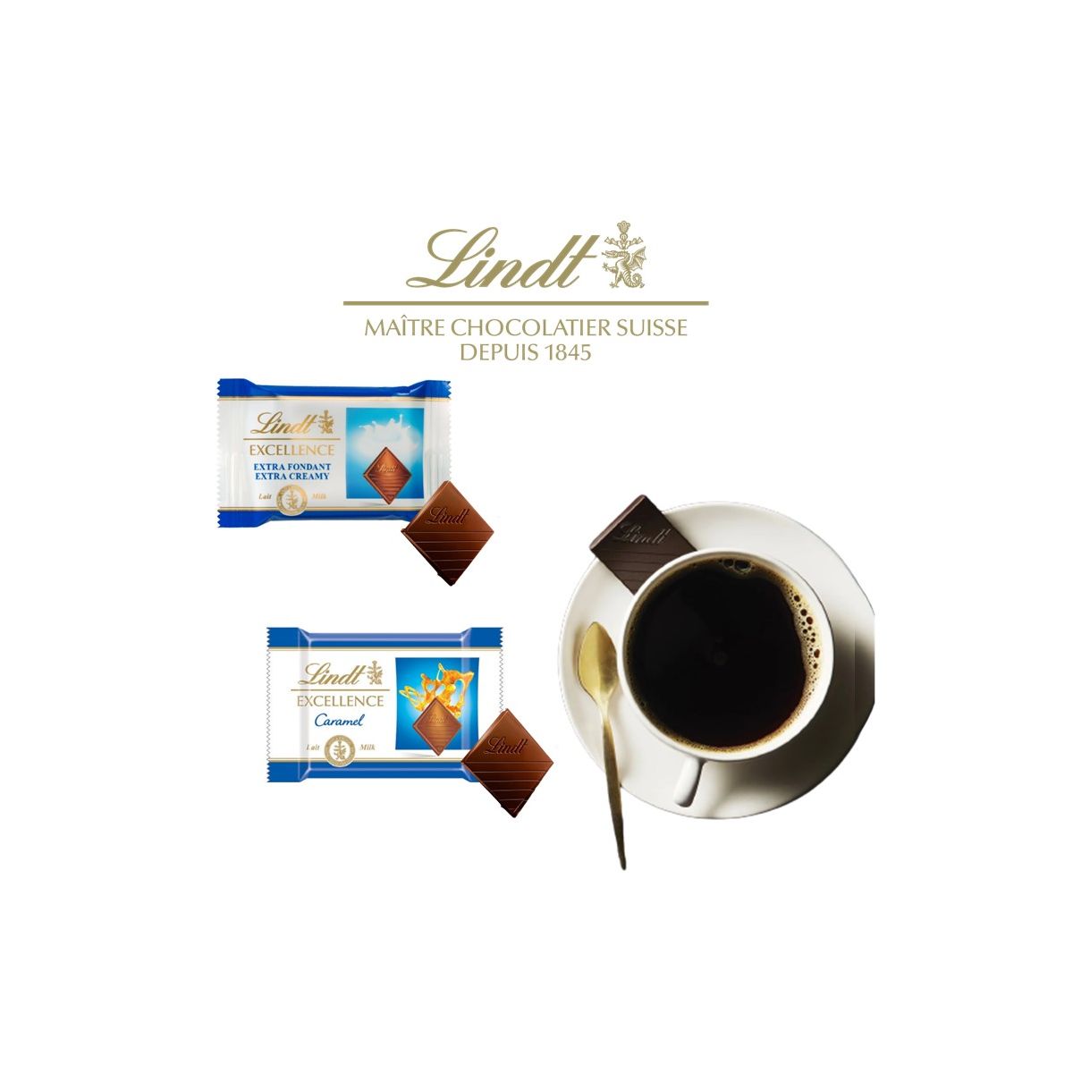 LINDT® Mini excellence lait assortis