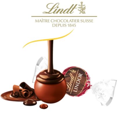 Double chocolat - LINDOR® Sachet 25 pcs