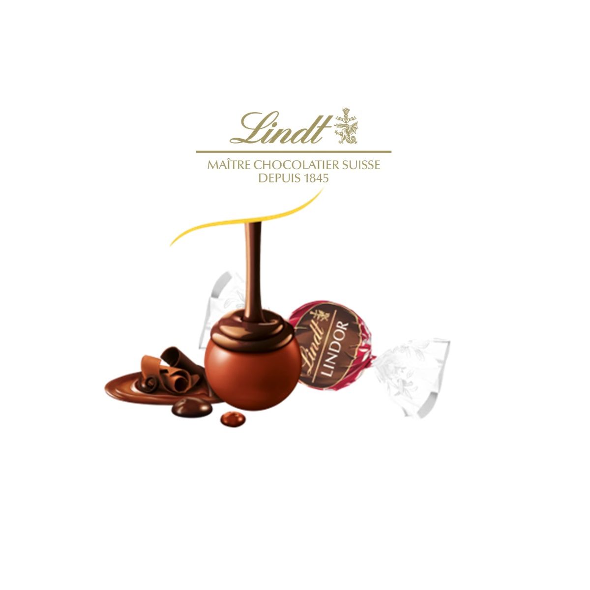 Double chocolat - LINDOR® Sachet 25 pcs