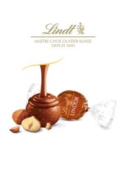 Chocolat lait noisettes - LINDOR® Sachet 25 pcs